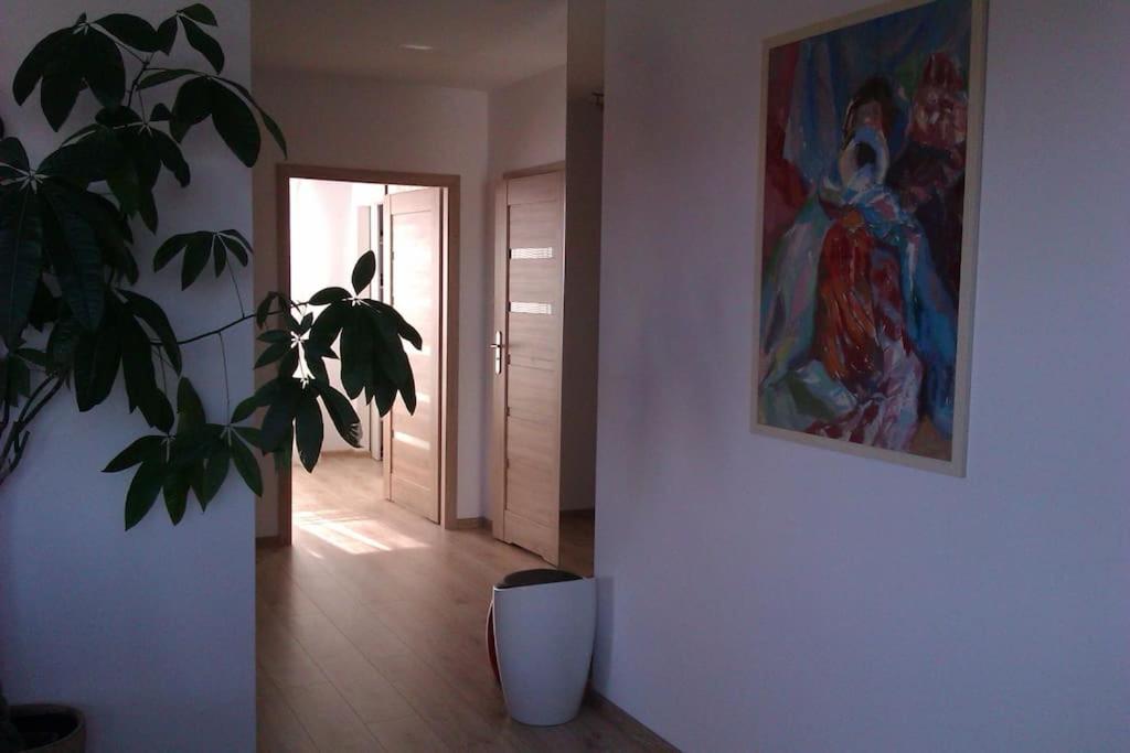 Peaceful Stay/Heart Of Gdansk/Unforgettable Eksteriør billede